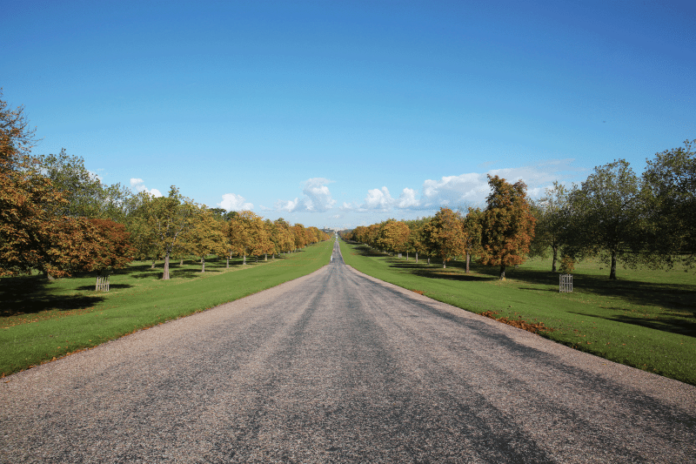 Windsor Long Walk