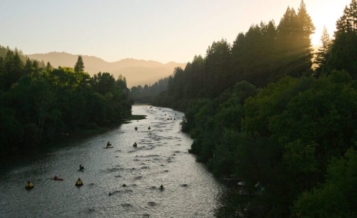2015 vineman swim