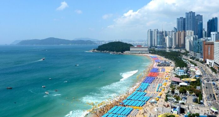 IRONMAN 70.3 Busan beach - photo credit IRONMAN-WTC IRONMAN 70.3 Busan beach - photo credit IRONMAN-WTC