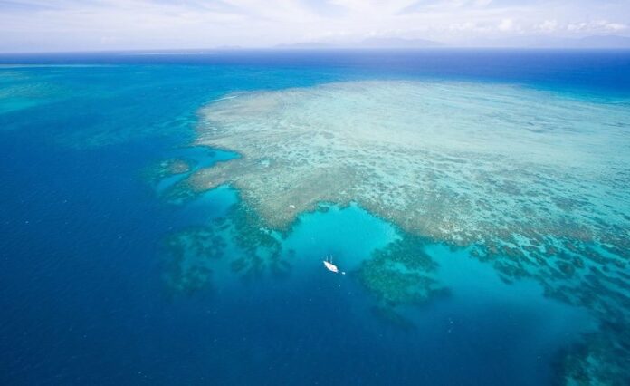 IRONMAN Cairns - reef