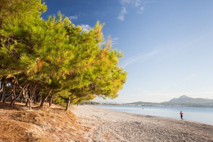Mallorca, Spain Mallorca, Spain