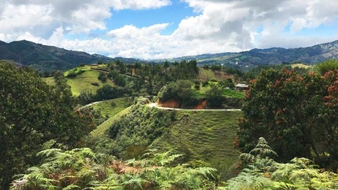 Thomson Bike Tours - Colombia Thomson Bike Tours - Colombia