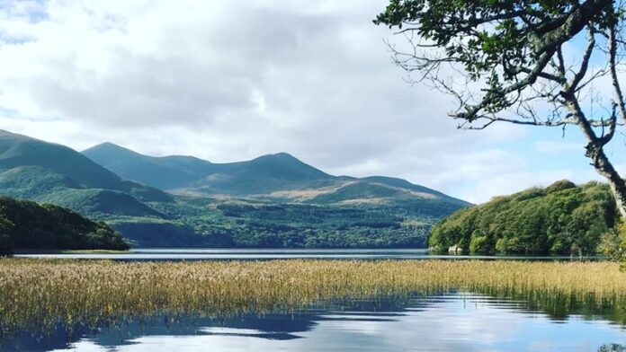 Hardman Ireland photo