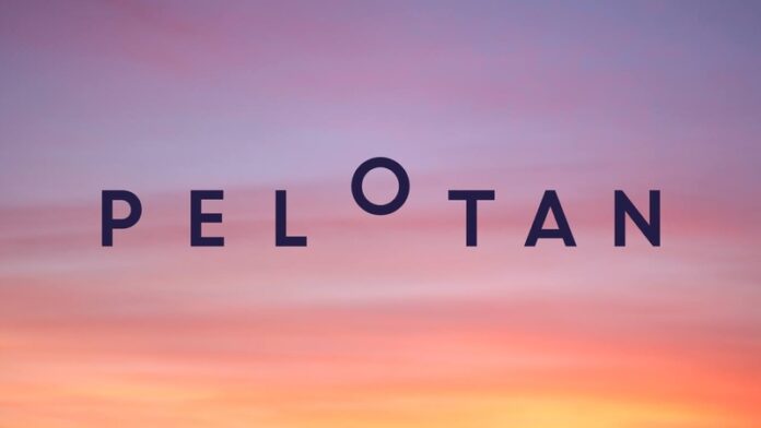 190314_Pelotan logo