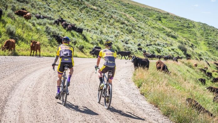 191203_Chamois Buttr riders