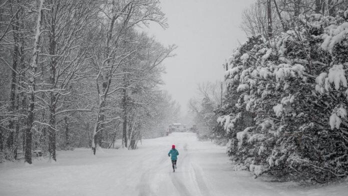 201221_Runner_Vlad Tchompalov_image credit - Unsplash