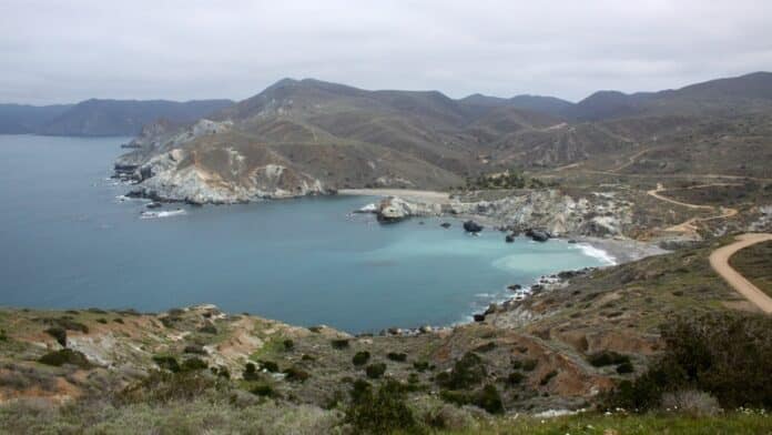230110_Avalon Benefit 50-miler and 50K - view from the trails on Catalina