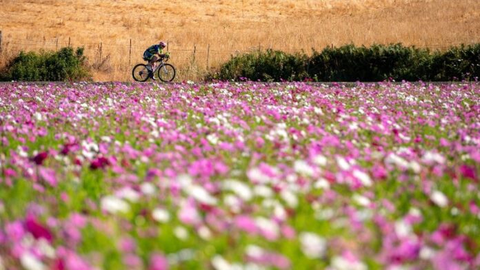 IRONMAN triathlete - bike - image credit IRONMAN