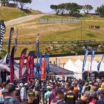Life Time Sea Otter Classic