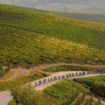 2026 Giro d’Italia raises a glass with Pinot Grigio