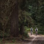 ENVE Stone Circle 2025